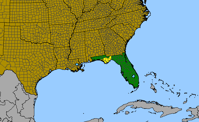 The range of Stachydeoma graveolens